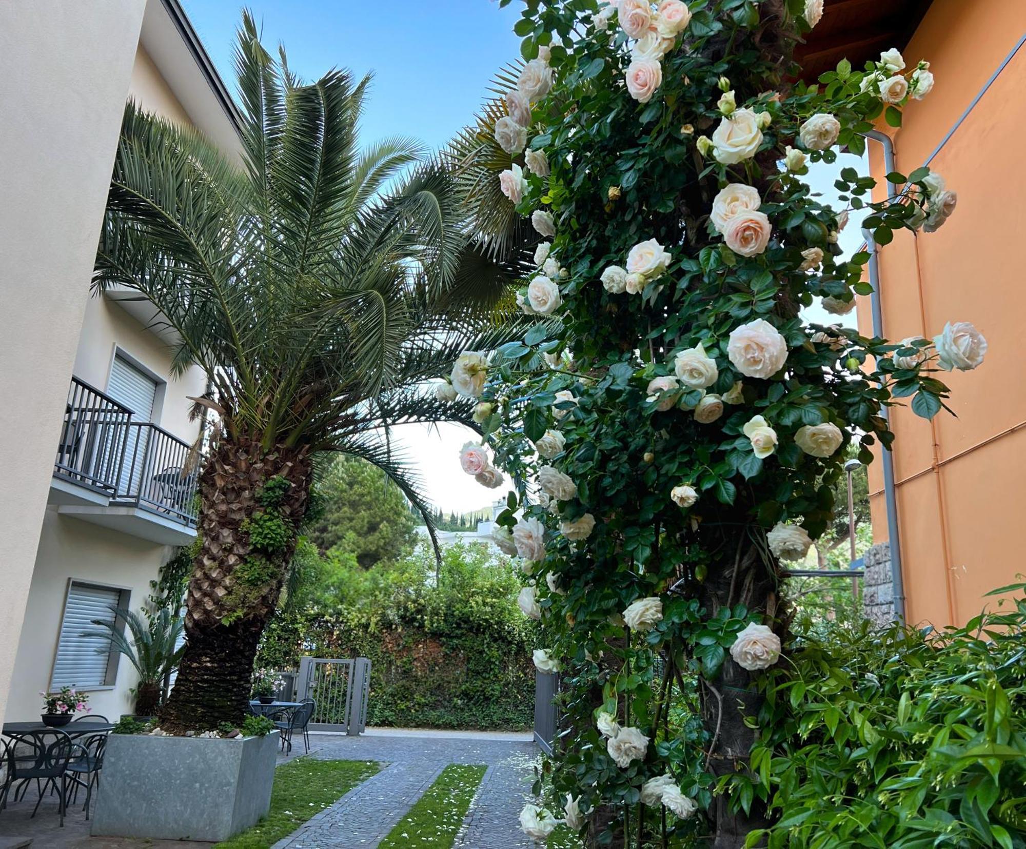 Villa Phoenix - Lake Apartments Riva del Garda Eksteriør billede